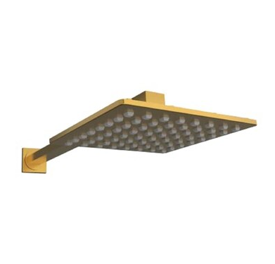shower head 6 inch gold
